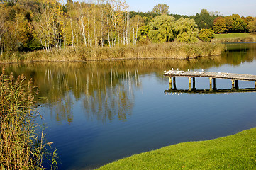 Image showing Park in the autumn day
