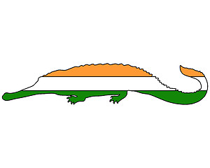 Image showing Gharial India