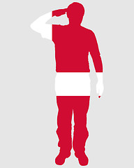 Image showing Danish Salute