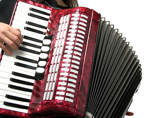 Image showing Cutout with a woman playing accordion on white
