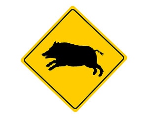 Image showing Wild boar warning sign