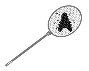 Image showing Fly silhouette