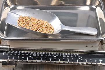 Image showing Old kitchen scales on wood