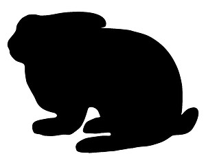 Image showing Bunny silhouette