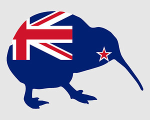 Image showing New Zealand kiwi