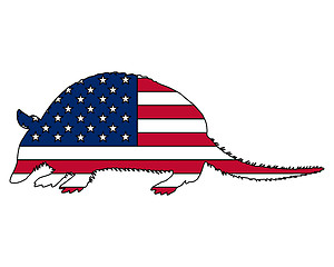 Image showing Armadillo United States of America