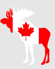 Image showing Mosse in flag of canada