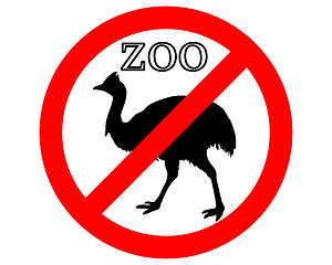 Image showing Cassowary in zoo prohibited