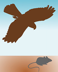 Image showing Bird of prey hunting a mouse