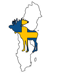 Image showing Swedish moose