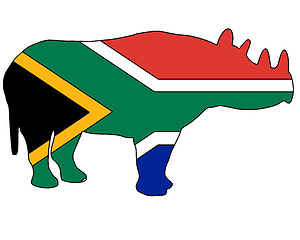 Image showing Southafrican rhino