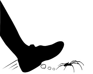 Image showing Spider hunting