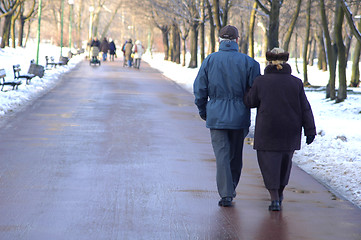 Image showing A couple of seniors