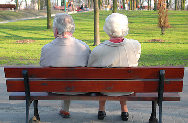 Image showing A couple of seniors