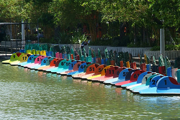 Image showing Numbered paddle boats