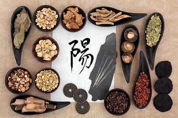 Image showing Chinese Herbal  Medicine