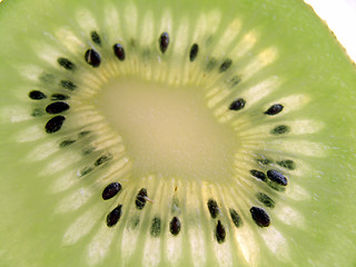 Image showing Kiwi slice