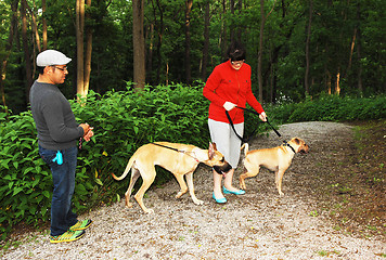 Image showing Couple with there dog's.