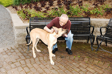 Image showing Man with dog.
