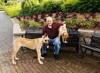 Image showing Man with two dog's.