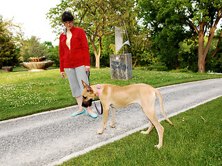 Image showing Woman walking her dog.