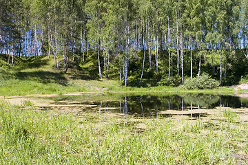 Image showing forest lake