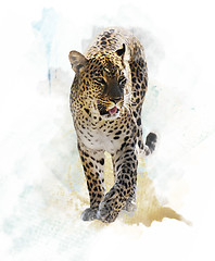 Image showing Watercolor Image Of  Leopard 