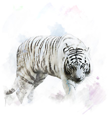 Image showing Watercolor White Tiger Portrait