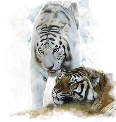 Image showing Watercolor Image Of  White And Brown Tigers