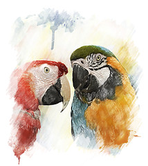 Image showing Watercolor Image Of  Parrots