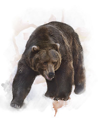 Image showing Watercolor Image Of  Grizzly Bear