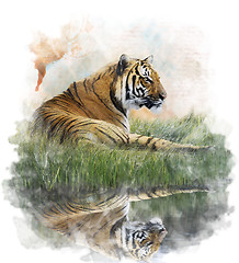 Image showing Watercolor Image Of  Tiger 