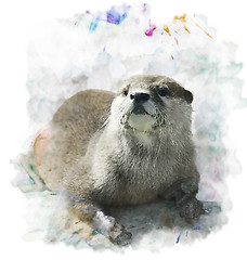 Image showing Watercolor Otter Portrait 