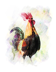 Image showing Watercolor Image Of  Rooster