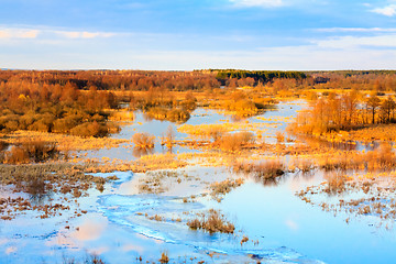 Image showing Spring Landscape With Flooded Trees