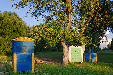 Image showing wooden beehive lit evening sun in the garden 