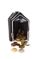 Image showing purse and euro coins 