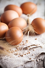 Image showing  fresh brown eggs, wheat seeds and ears