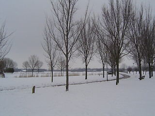 Image showing Holland in Winter 4