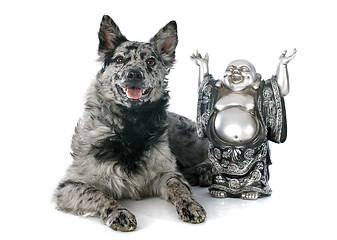 Image showing Hungarian dog and bouddha