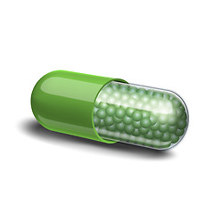 Image showing Medical green capsule with granules