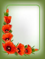 Image showing Red poppies floral frame, vector