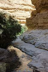 Image showing Mountains and water in the Ein Gedi nature reserve 