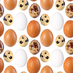 Image showing Seamless pattern of birds eggs