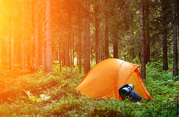 Image showing Camping in the Forest