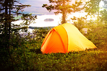 Image showing Camping in the Forest 