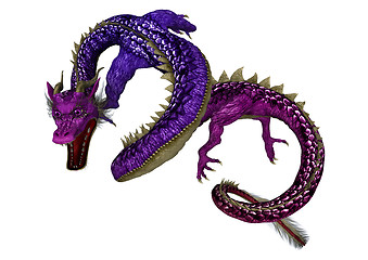 Image showing Purple Dragon