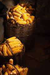 Image showing Fresh Corn