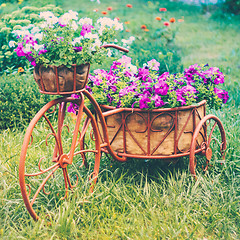 Image showing Decorative Bicycle In Garden 