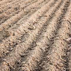 Image showing Furrows In A Field After Plowing It
